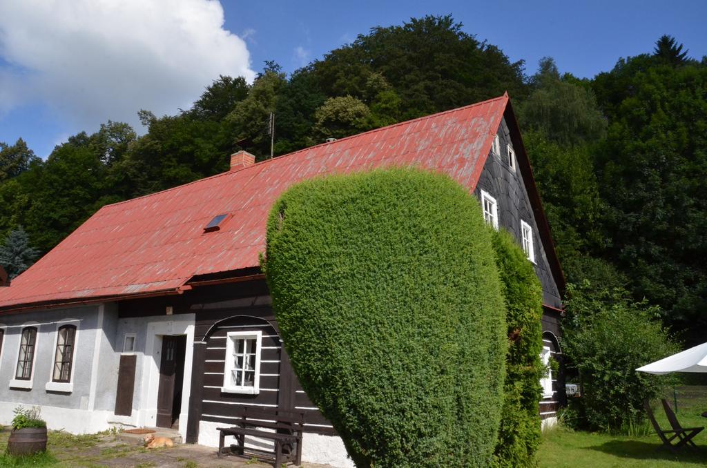 Penzion U Kozy Chřibská Extérieur photo