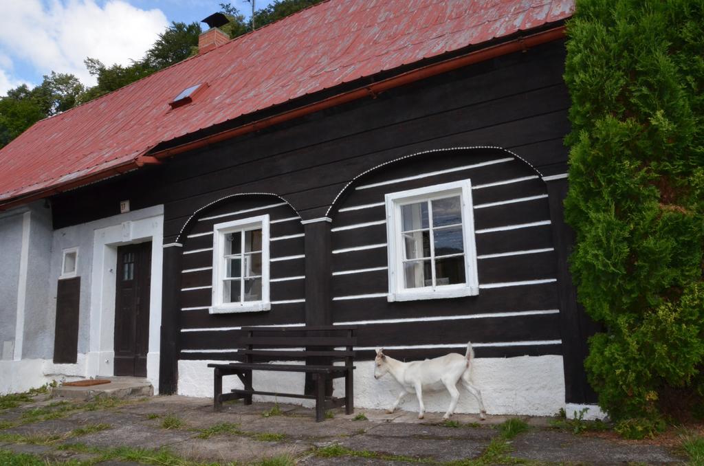 Penzion U Kozy Chřibská Extérieur photo