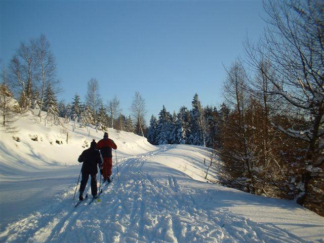 Penzion U Kozy Chřibská Extérieur photo